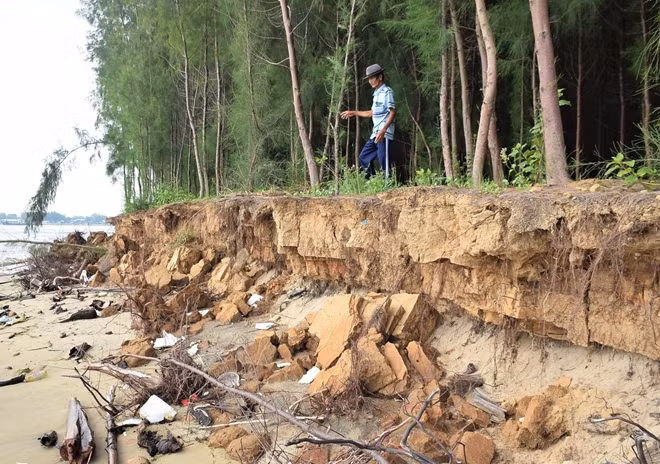 Khu vực Cồn Doi bị sạt lở nghiêm trọng.