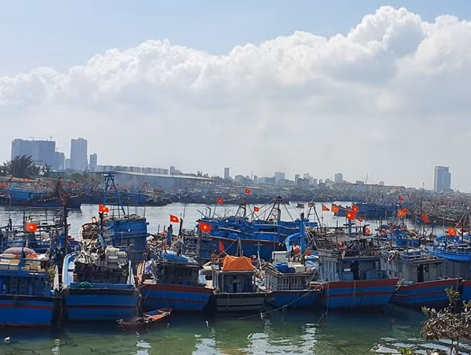 Tàu cá ngư dân Đà Nẵng cập cảng đảm bảo được nhật ký khai thác.