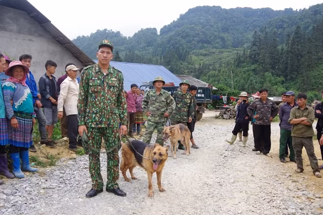 Bộ đội Biên phòng tỉnh Lào Cai triển khai chó nghiệp vụ tìm kiếm nạn nhân.