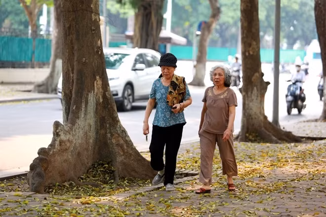 Những con phố ngợp lá vàng cuốn hút đến lạ kỳ.
