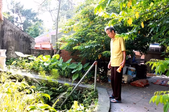 Khu hầm ngầm được cho là cùng tuổi với ngôi đình có từ thế kỷ 11 này.