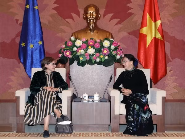 (Ảnh: Trọng Đức/TTXVN)
