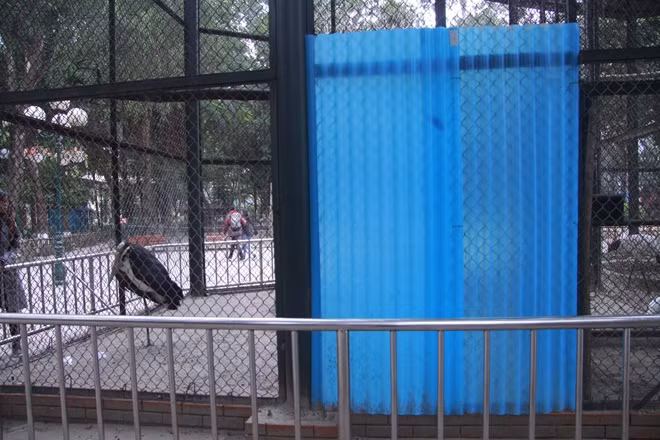 Trong khi đó tại các khu vực nuôi nhốt chim thì được lắp những tấm ợp cản gió.