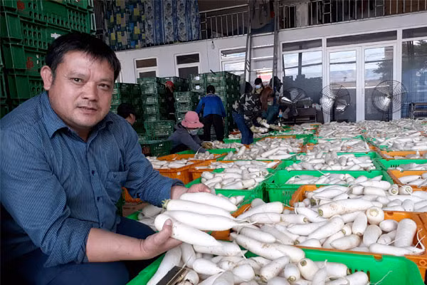 Anh Nguyễn Văn Đoàn bên xưởng sơ chế củ cải trước khi xuất bán.