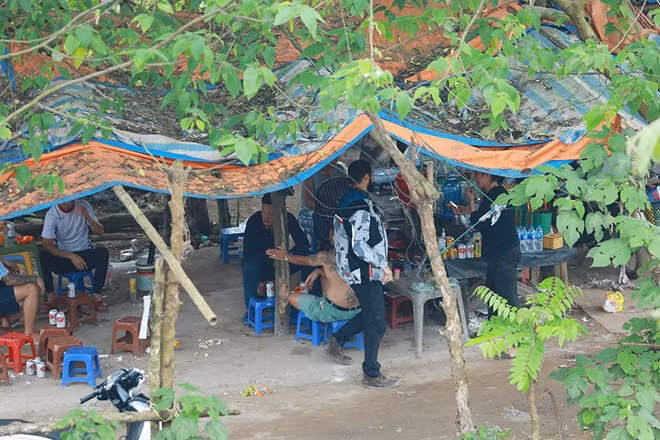 Trong khi các quán cà phê, giải khát trong nội đô thành phố hầu hết đã đóng cửa thì quán trà đá tại khu vực bãi giữa sông Hồng dưới chân cầu Long Biên vẫn đang mở cửa. Nhiều vị khách không hề đeo khẩu trang.