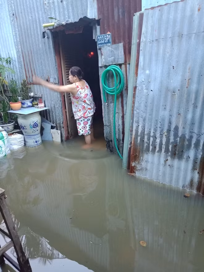 Bà Sáu sống chung với thủy triều đã nhiều năm.