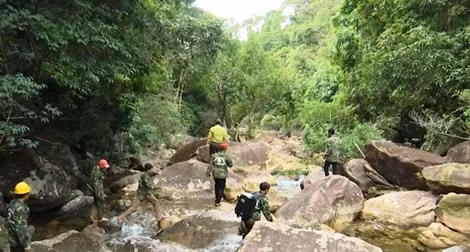 Những người giữ rừng ngày Tết