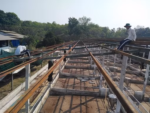 Làm gì để tạo việc làm cho người sau cai nghiện ma túy?