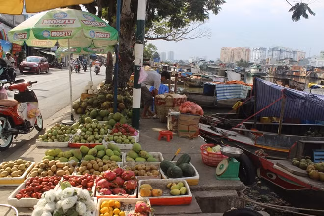 Đời thương hồ kẻ chợ của cha mẹ khiến những đứa trẻ phải neo đời trên sóng nước.