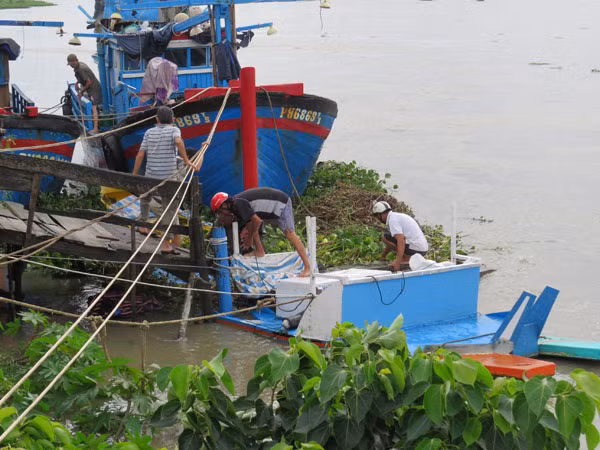 Cứu hộ tàu đánh cá bị cuốn trôi ở vùng hạ lưu sông Chùa. Cứu hộ tàu đánh cá bị cuốn trôi ở vùng hạ lưu sông Chùa.