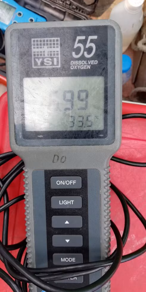 Bên ngoài khu thí điểm DO=6.99 mg/l (Đo vào ban ngày). Bên ngoài khu thí điểm DO=6.99 mg/l (Đo vào ban ngày).