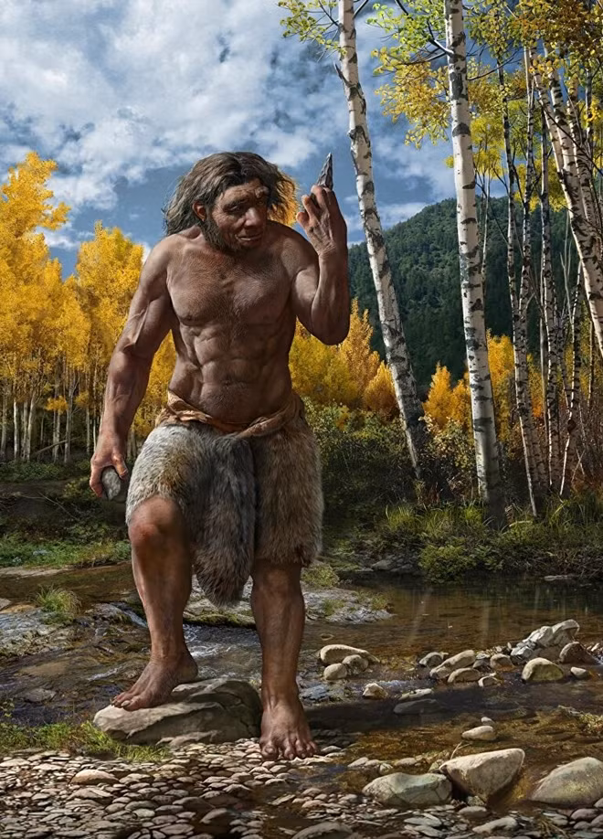 Homo longi.