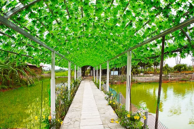 Đường vào nhà hàng Hương Quê.