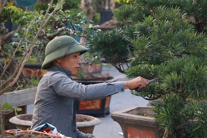 Các chủ vườn mang cây tới hội chợ vẫn liên tục chăm sóc "tác phẩm" của mình.