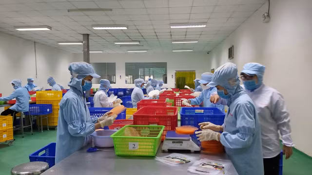 Công ty Duy Anh đã có sáng kiến trong việc sử dụng nguyên liệu làm bún từ dưa hấu, được thị trường trong và ngoài nước ưa chuộng. Công ty Duy Anh đã có sáng kiến trong việc sử dụng nguyên liệu làm bún từ dưa hấu, được thị trường trong và ngoài nước ưa chuộng.