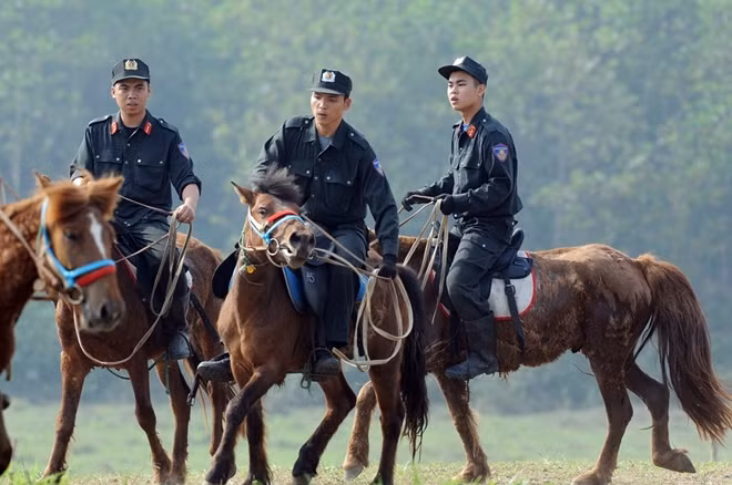 Cán bộ chiến sỹ Đoàn Cảnh sát cơ động Kỵ binh huấn luyện, thuần hoá ngựa.