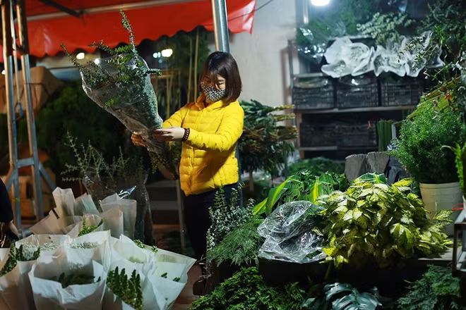 Lượng người mua sụt giảm nghiêm trọng là nguyên nhân lớn khiến nhiều sạp hoa ở chợ Quảng Bá rơi vào cảnh ế ẩm.