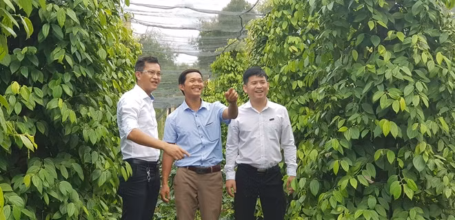 VietinBank đã và đang hỗ trợ nguồn vốn với lãi suất ưu đãi giúp người dân Tây Nguyên phát triển sản xuất kinh doanh Ảnh: CTV