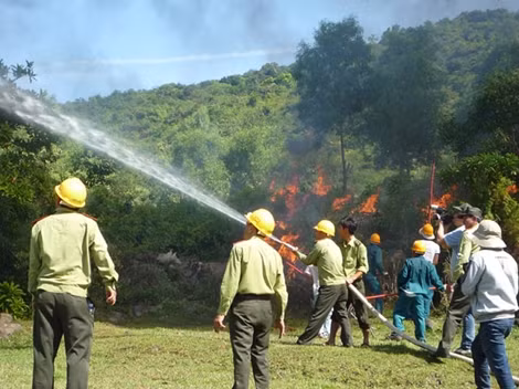 Chủ động phòng, chống cháy rừng mùa nắng nóng ảnh 2