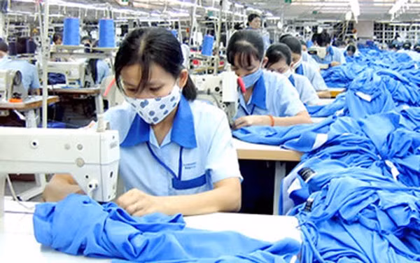 Để ngành dệt may phát triển bền vững, cần phải có sự liên kết.