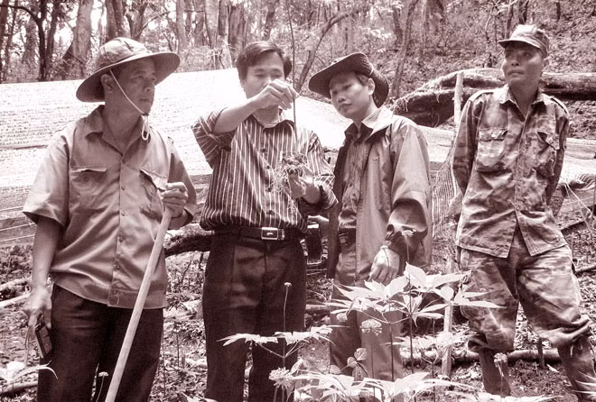 Sâm được Công ty cổ phần Sâm Ngọc Linh Kon Tum trồng thành công trên núi Ngọc Linh. Sâm được Công ty cổ phần Sâm Ngọc Linh Kon Tum trồng thành công trên núi Ngọc Linh.