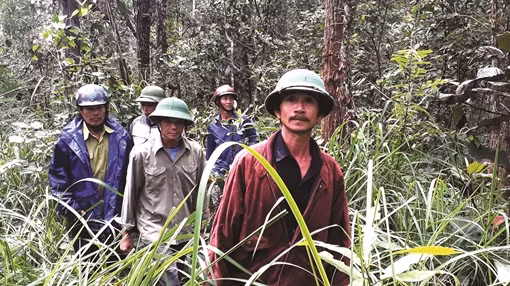 Những người lính giữ rừng nơi miền biên ải