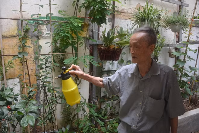 Ông Nguyễn Khắc Tiếp chăm sóc những chậu hoa, bonsai trong vườn nhà.