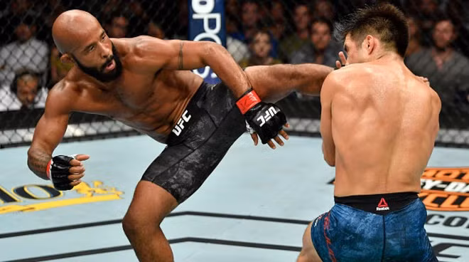 MMA chính thức được công nhận ở Việt Nam sau khi Liên đoàn MMA ra đời.
