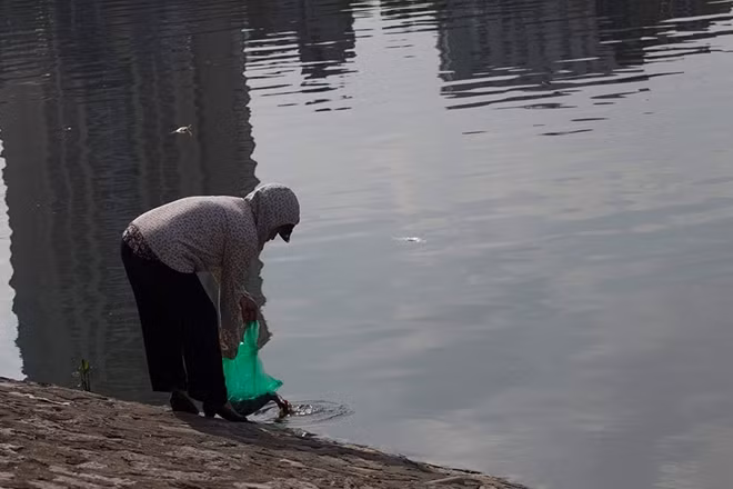 Dù cá chết nổi trắng hồ nhưng trong chiều nay (29-5) vẫn có người dân tới thả cá phóng sinh.