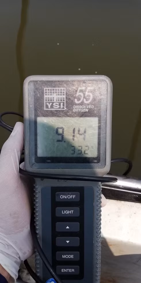 Bên trong khu thí điểm DO=9.14 mg/l (Đo vào ban ngày). Bên trong khu thí điểm DO=9.14 mg/l (Đo vào ban ngày).