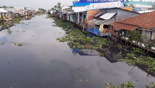 Ô nhiễm nghiêm trọng ở sông Cái Lớn và các tuyến kênh nội đồng.