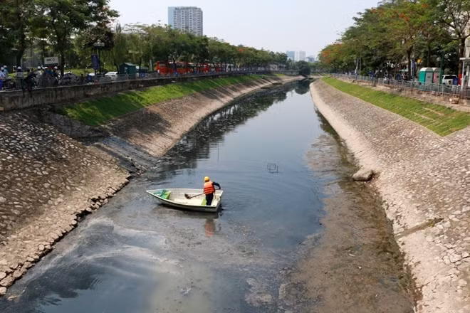 Cùng với sông Kim Ngưu, sông Lừ và sông Sét... sông Tô Lịch đã tạo nên hệ thống tiêu thoát nước chính của TP. Hà Nội. Song cũng chính vì thế mà con sông này cũng bị ô nhiễm rất nặng...Việc phải "oằn mình" gánh lượng lớn nước thải sinh hoạt và sản xuất của Thủ đô khiến hệ thống sinh vật sông Tô Lịch hoàn toàn biến mất.