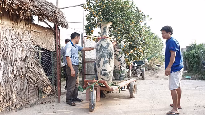 Tới những cây được trồng trong lộc bình và cần tới xe kéo để di chuyển. Trong ảnh một cặp lộc bình được sử dụng để trở quất Bonsai đang được chủ vườn dùng xe kéo chuyển tới khách hàng.
