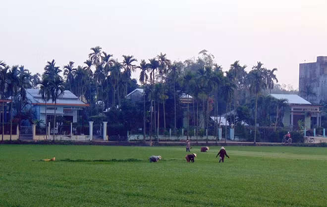 Làng Hòa Bình đẹp như tranh vẽ, song người dân địa phương đang rất lo lắng vì căn bệnh ung thư hoành hành.
