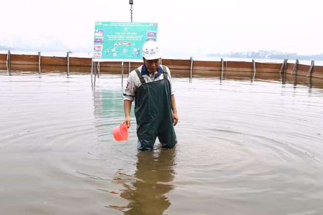 Khu vực thử nghiệm được được quây kín bằng những tấm thép, sau một thời gian dùng công nghệ Nano-Bioreactor để phân hủy bùn và nước thải.