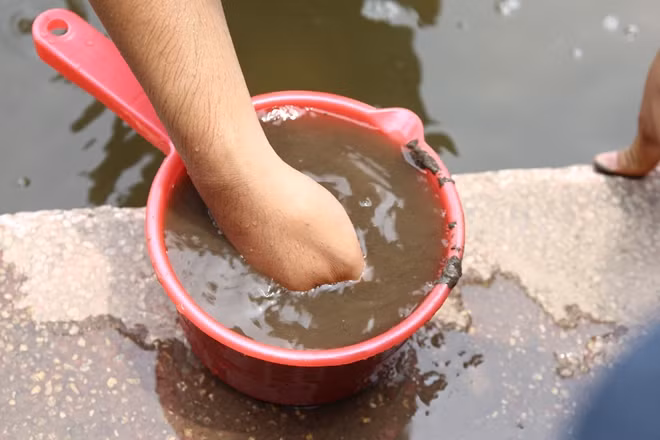 Phần bùn đước múc lên từ đáy hồ đoạn quây thép xử lý thí điểm.