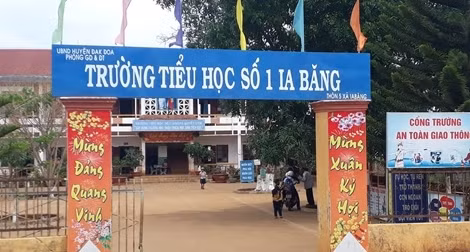Cho thôi chức Bí thư Đảng uỷ xã bỏ nhiệm sở ảnh 2