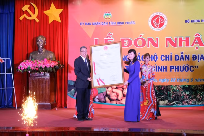 Ông Lê Ngọc Lâm – phó cục trưởng Cục Sở hữu trí tuệ Bộ Khoa học và công nghệ trao văn bằng bảo hộ chỉ dẫn địa lý “Hạt điều Bình Phước” .