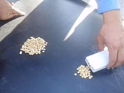 Captagon được coi là thần dược của các tay súng tham chiến ở Syria.