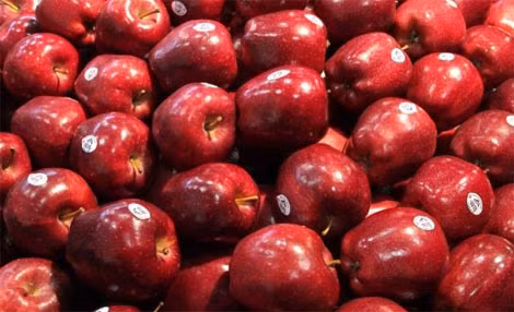Táo Mỹ nhập vào Việt Nam chủ yếu được lấy từ tiểu bang Washington. (ảnh: Fruitnet).