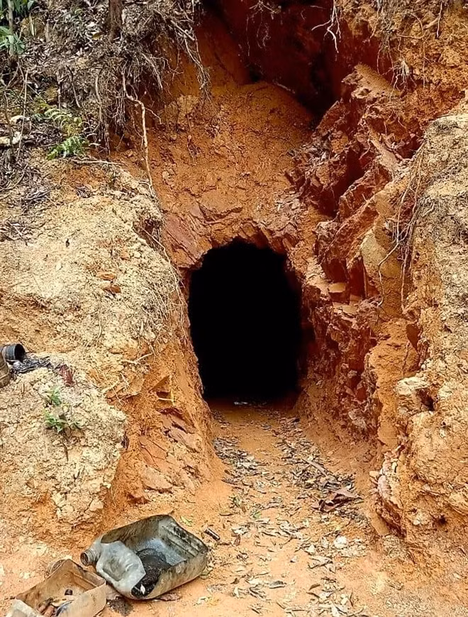 Đồi núi bị đục khoét, đào thành hầm để tìm vàng trái phép.