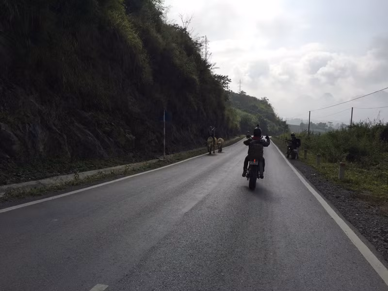 Và anh sẽ thực hiện một chương trình riêng tại TP. Hồ Chí Minh vào tháng 4.2015.