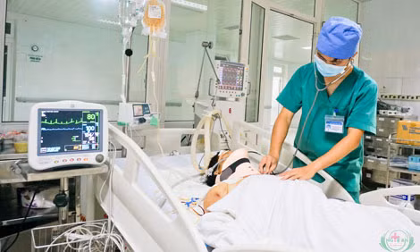Trâu điên tấn công, 2 người nguy kịch 
