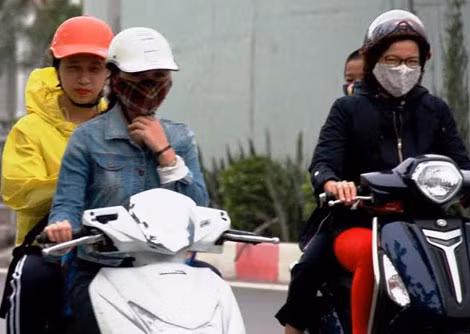 Co ro khi gió lạnh ùa về.