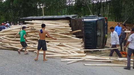 Hiện trường ô tô lật hàng ngàn gỗ keo tung ra đường .