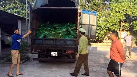 Phát hiện 3.000 kg thức ăn nuôi tôm không rõ nguồn gốc