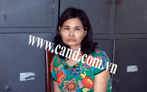 Đối tượng Lê Thị Hồng Nguyên