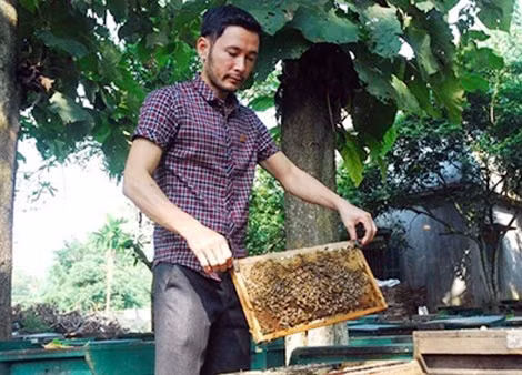 Trần Xuân Phong. Trần Xuân Phong.