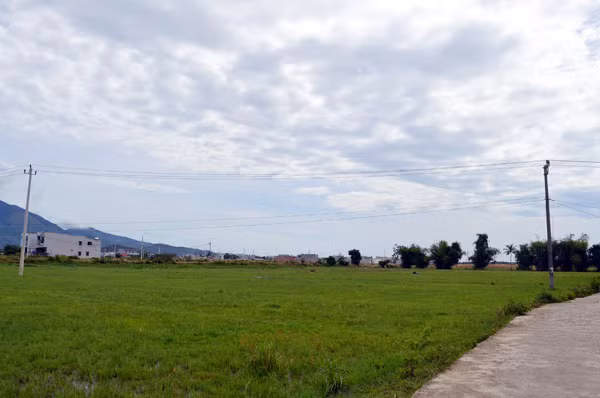 Đất nông nghiệp ở Hòa Liên (Đà Nẵng) bị hoang hóa do ảnh hưởng dự án. Đất nông nghiệp ở Hòa Liên (Đà Nẵng) bị hoang hóa do ảnh hưởng dự án.
