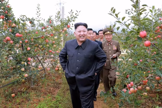 Chủ tịch Triều Tiên Kim Jong un và các quan chức quân đội thăm một nông trường